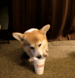 coffee_400.gif