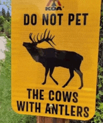 DoNotPet.gif