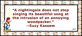 SuzyKassem-08.gif