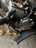IMG_0949.jpeg