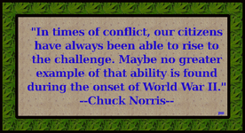 ChuckNorris-03.gif