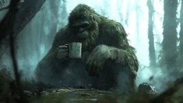 coffee-misty-forest-.jpg