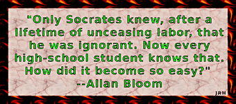 AllenBloom-03.gif