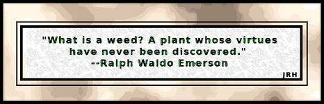 RalphWaldoEmerson-14.gif
