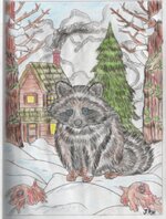 Racoon-474x640.jpg