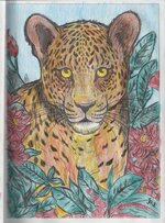 Leopard-474x640.jpg