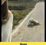 IMG_4140.jpeg