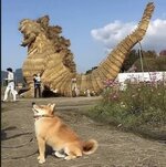 IMG_1666.jpeg