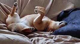 20221115_101912a.jpg
