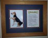 Shiba Inu Rules w_Elvis lowres.jpg