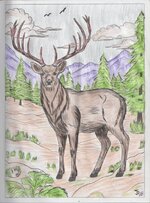 Elk-474x640.jpg