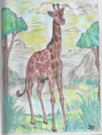 Giraffe-474x640.jpg