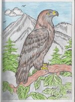 GoldenEagle-474x640.jpg