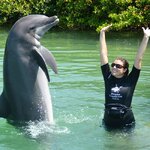 TrainingPorpoises.jpg