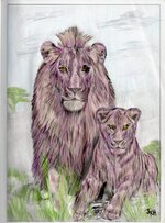 Lions-474x640.jpg