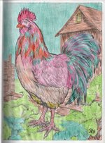 Rooster-474x640.jpg