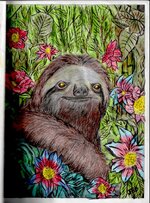Sloth-474x640.jpg