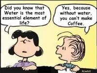 peanuts-0.jpg