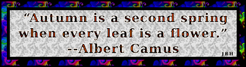 AlbertCamus-05.gif