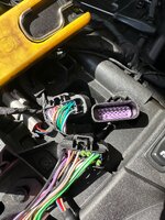 IMG_9735.jpeg