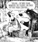 bear3.jpg