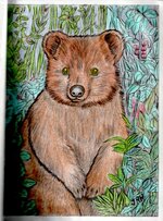 Quokka-474x640.jpg