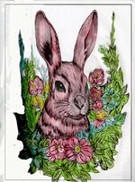 Rabbit-474x640.jpg