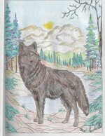 Wolf(1)-474x640.jpg