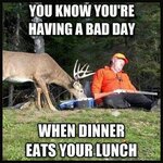 dinner-eats-lunch.jpg
