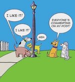dog3.jpg