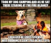 campfire-dog.jpg