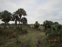 IMG_0433.jpg
