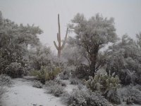 AZ snow 2.JPG