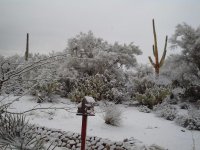 AZ snow 3.JPG