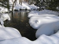 IMG_1521.jpg