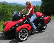 holly red spyder.jpg