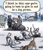 dogsandcats.jpg