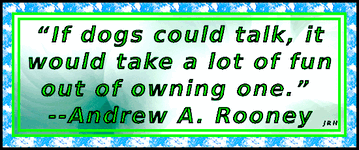 AndyRooney-04.gif