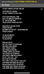 IMG_8232.jpeg