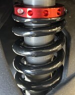 IMG_8256.jpeg