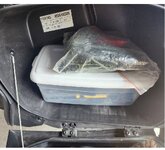 tupper in saddlebag.jpg