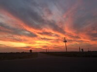 IMG_2168.jpeg