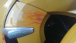IMAG0095.jpg