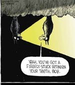 bats-s.jpeg
