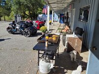 20251005_143757.jpg
