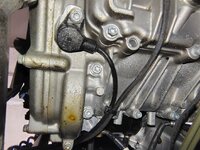 IMG_20250927_162441306_HDR (1).jpg