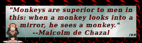MalcolmDeChazal-05.gif