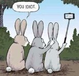 rabbit-ears.jpg