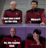 trek13.jpg trek13.jpg