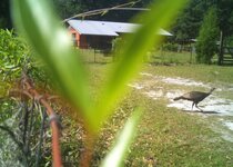 turkey-visit.JPG turkey-visit.JPG